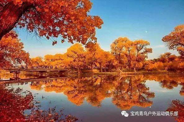 燃烧吧大脑免广告最新版
